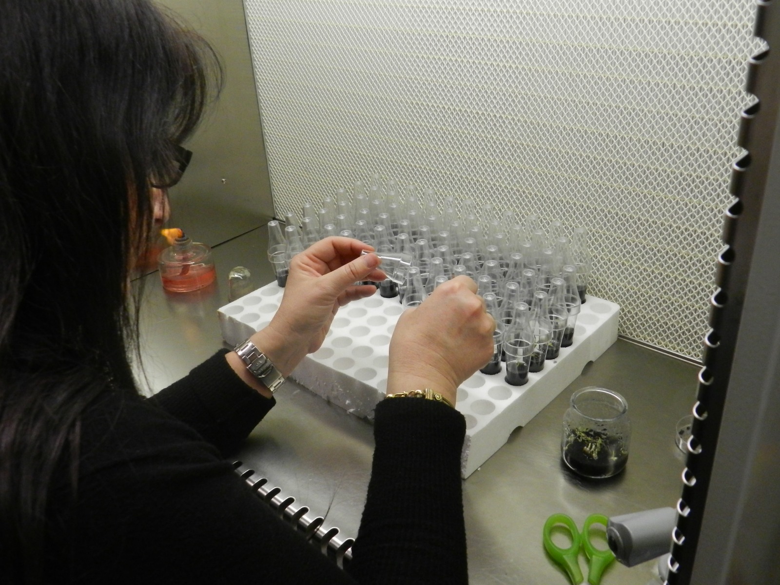 giornata donne scienza